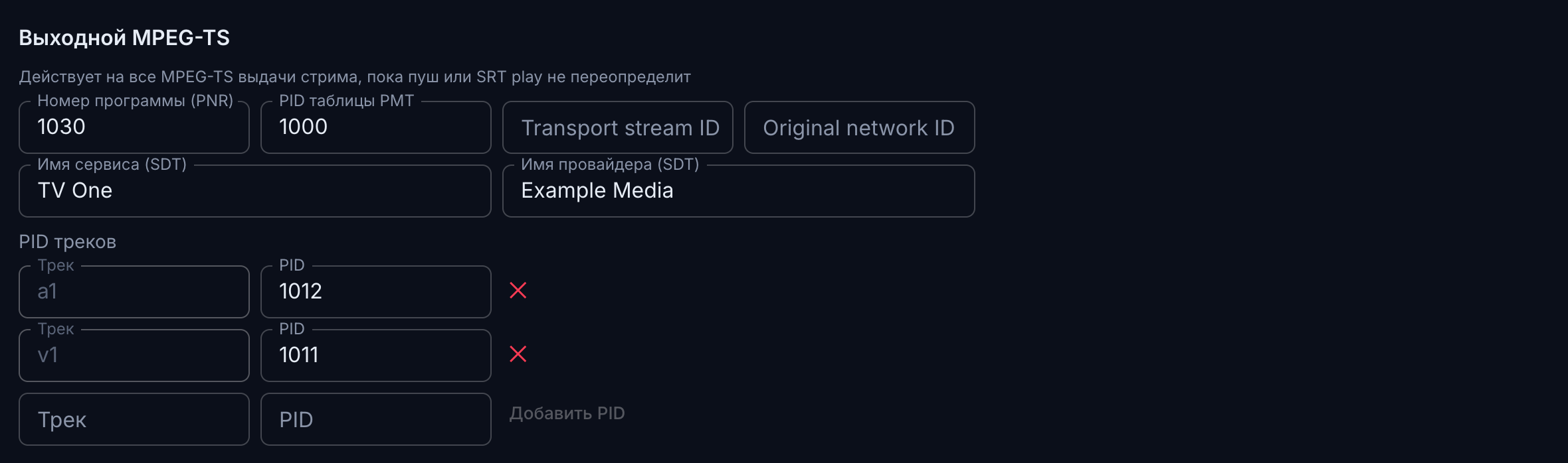 Стримовая секция выходного MPEG-TS